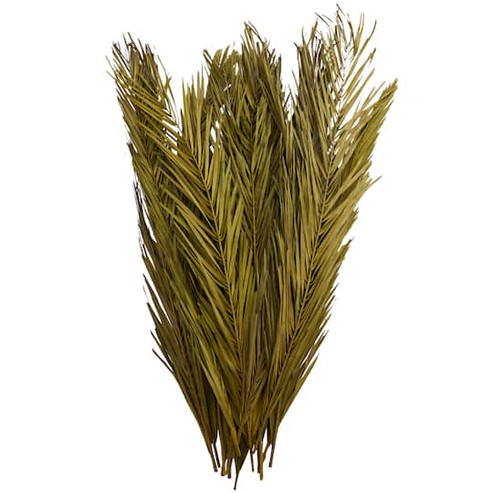 43" Natural Dried Plant Palm Leaf Bunch with Feather-Inspired Stems